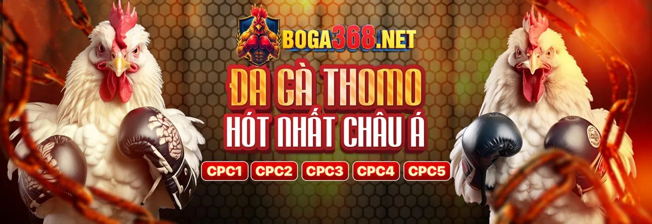 Tin tức ao88a mới nhất